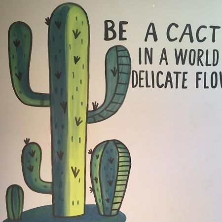 Bajas Cactus Hostel Cabo San Lucas Esterno foto