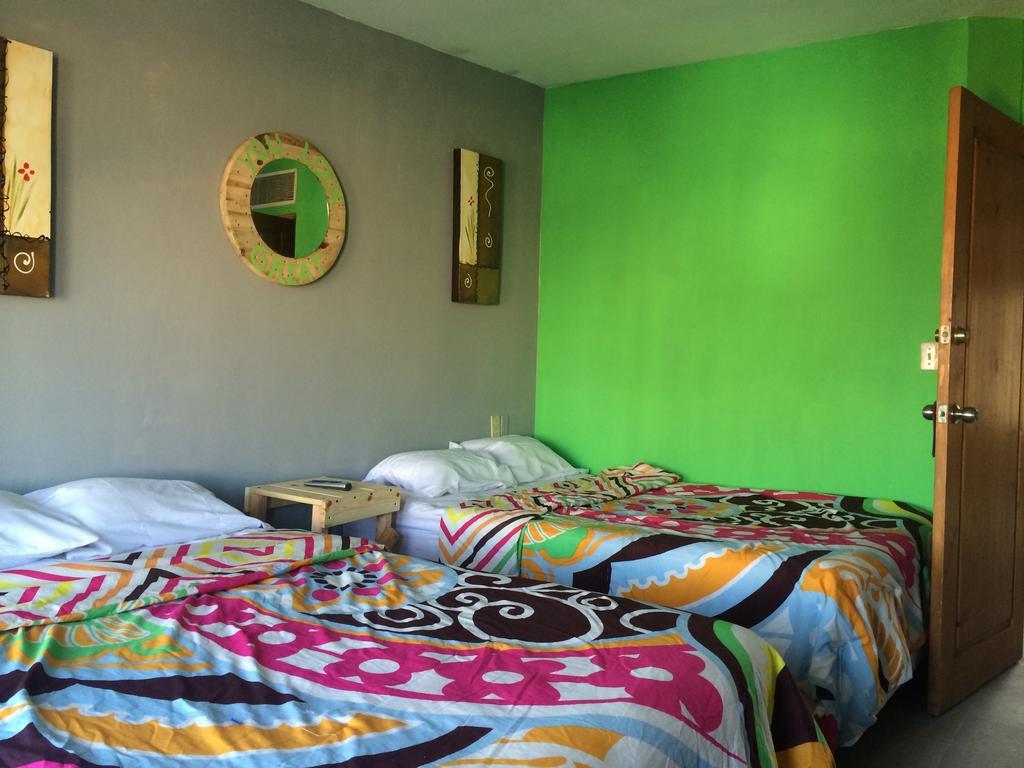 Bajas Cactus Hostel Cabo San Lucas Camera foto