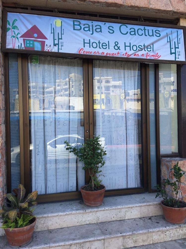 Bajas Cactus Hostel Cabo San Lucas Esterno foto