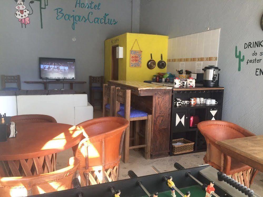 Bajas Cactus Hostel Cabo San Lucas Esterno foto