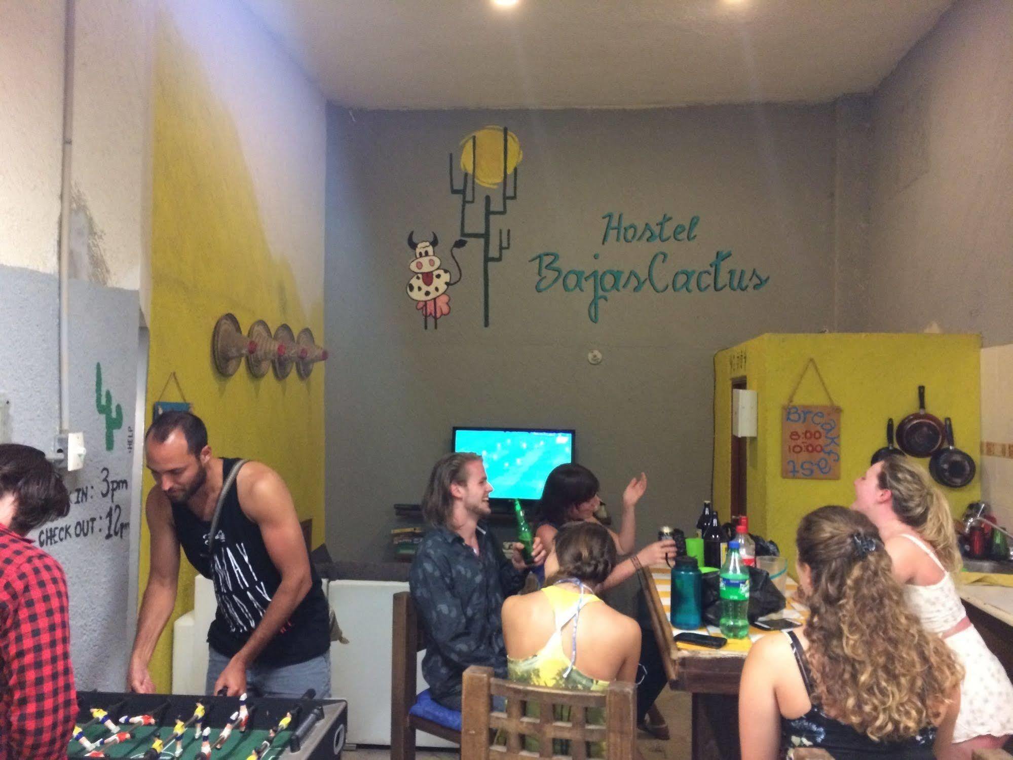 Bajas Cactus Hostel Cabo San Lucas Esterno foto