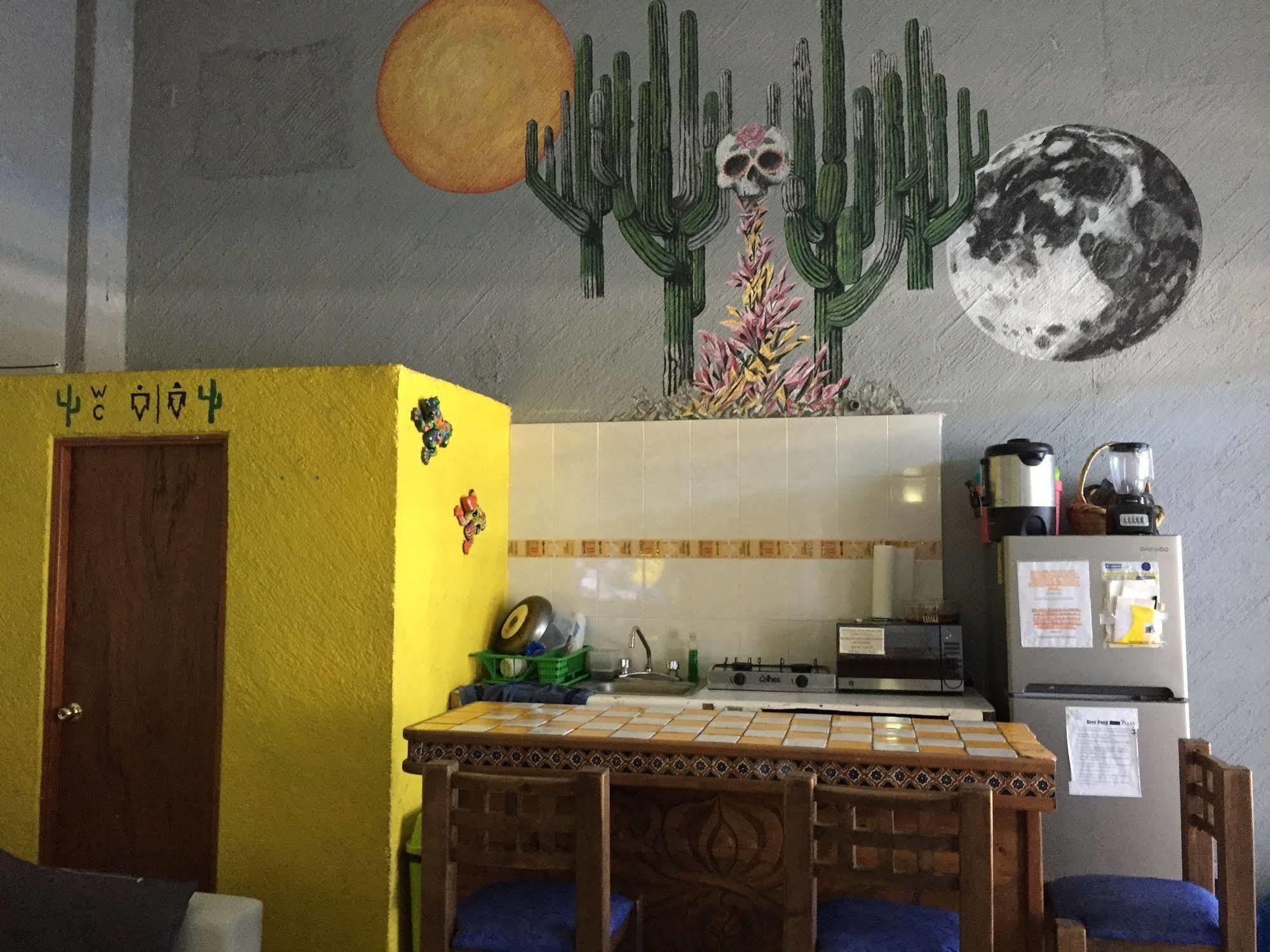 Bajas Cactus Hostel Cabo San Lucas Esterno foto