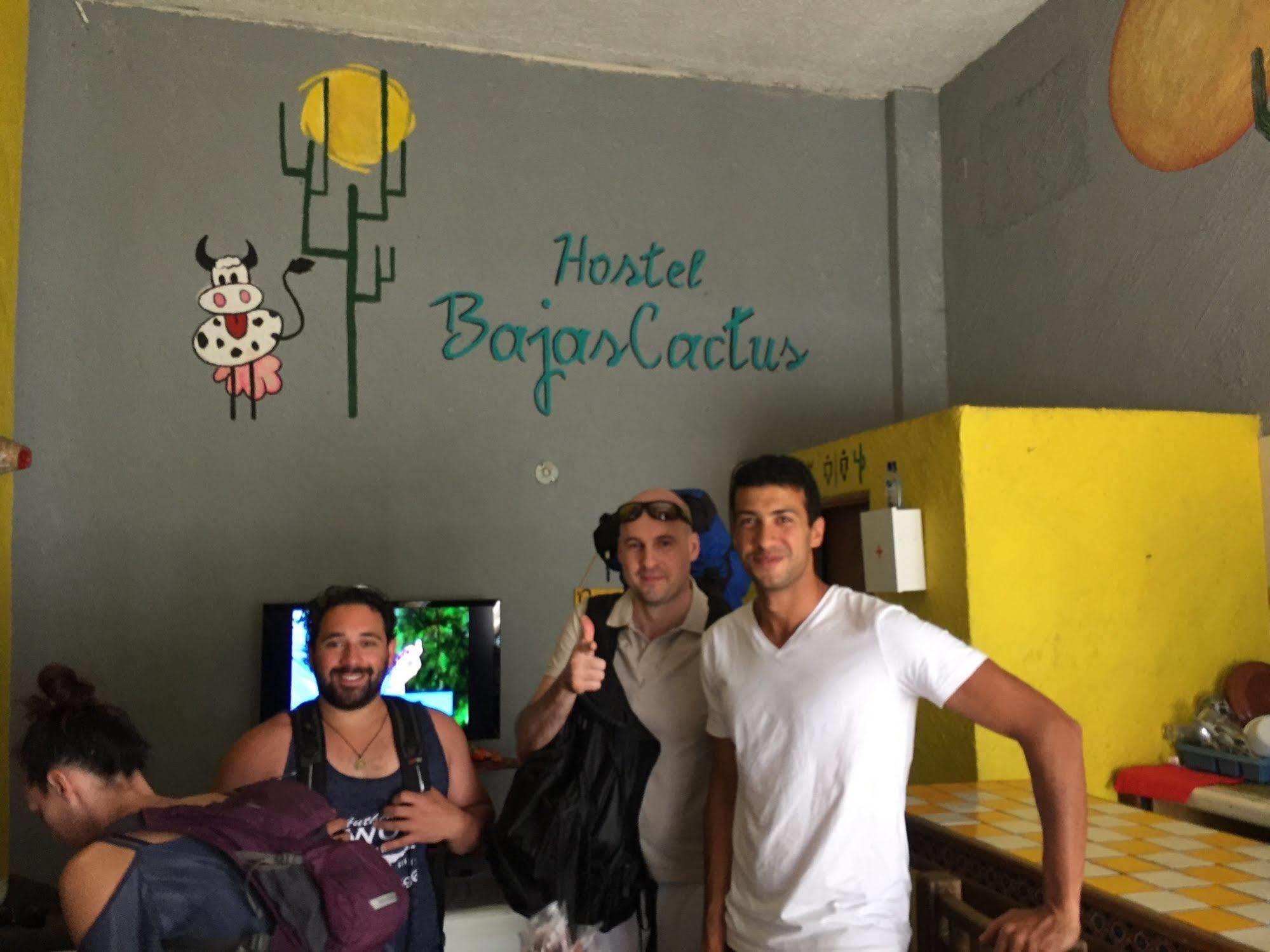 Bajas Cactus Hostel Cabo San Lucas Esterno foto
