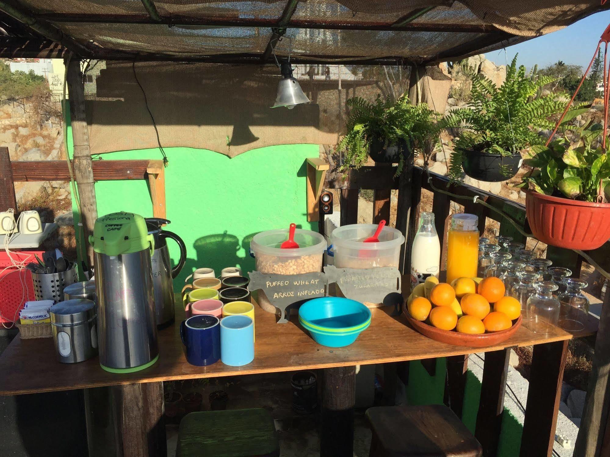 Bajas Cactus Hostel Cabo San Lucas Esterno foto
