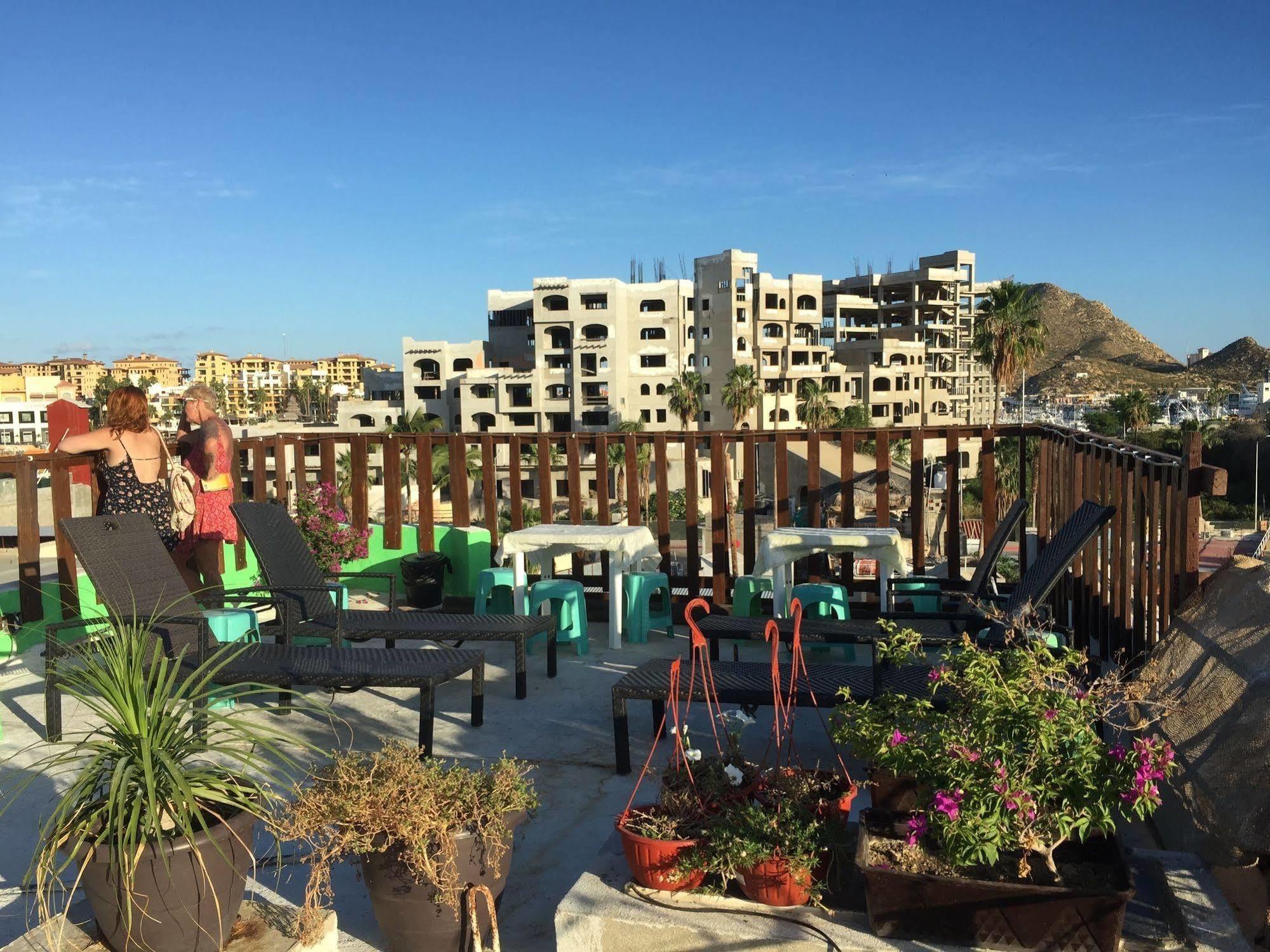 Bajas Cactus Hostel Cabo San Lucas Esterno foto