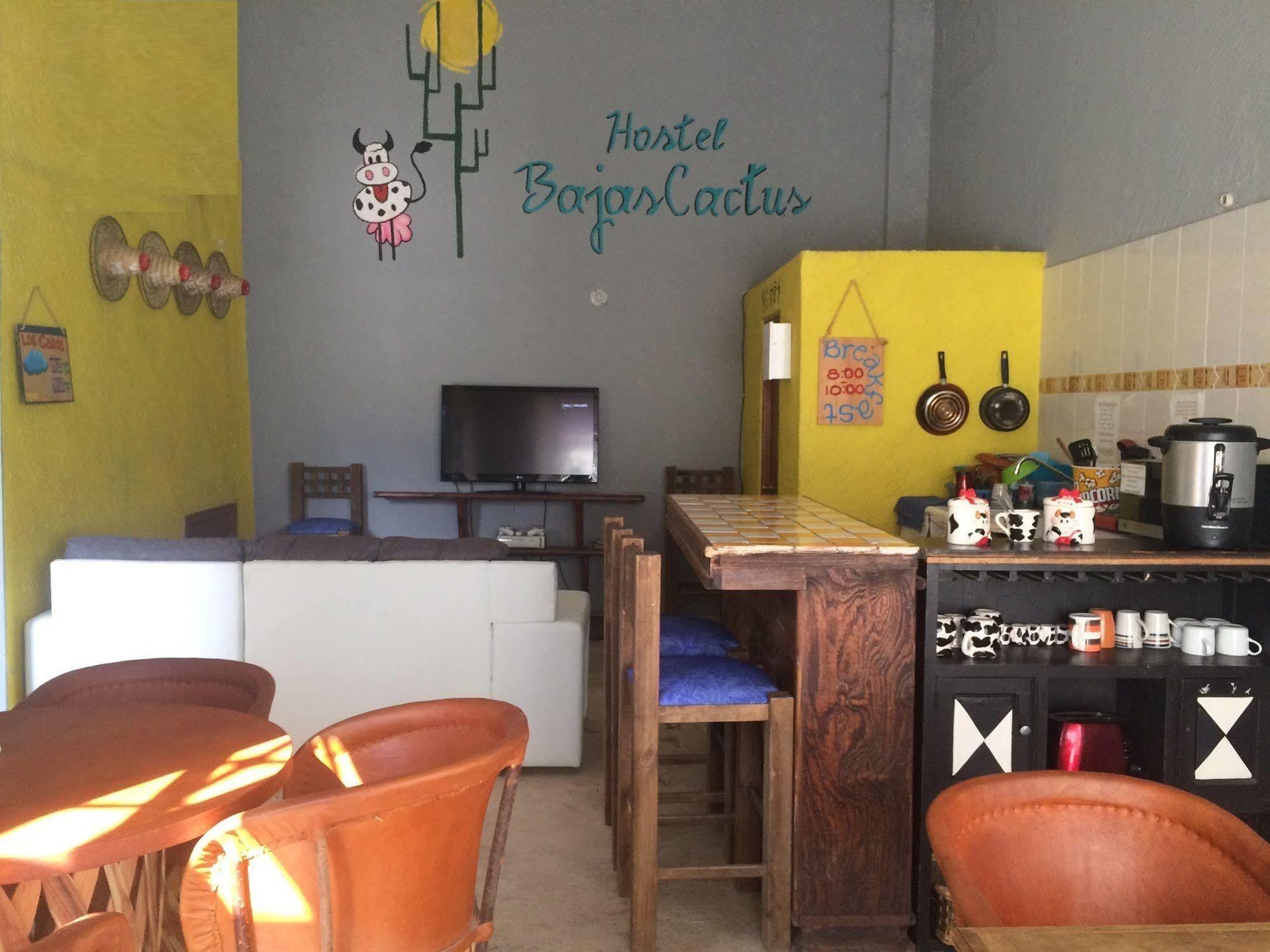 Bajas Cactus Hostel Cabo San Lucas Esterno foto