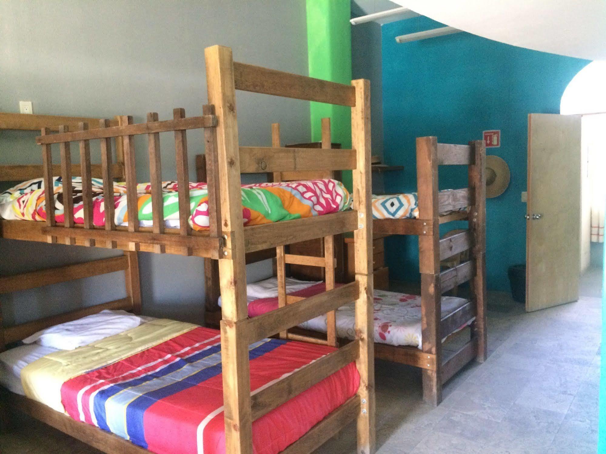 Bajas Cactus Hostel Cabo San Lucas Esterno foto