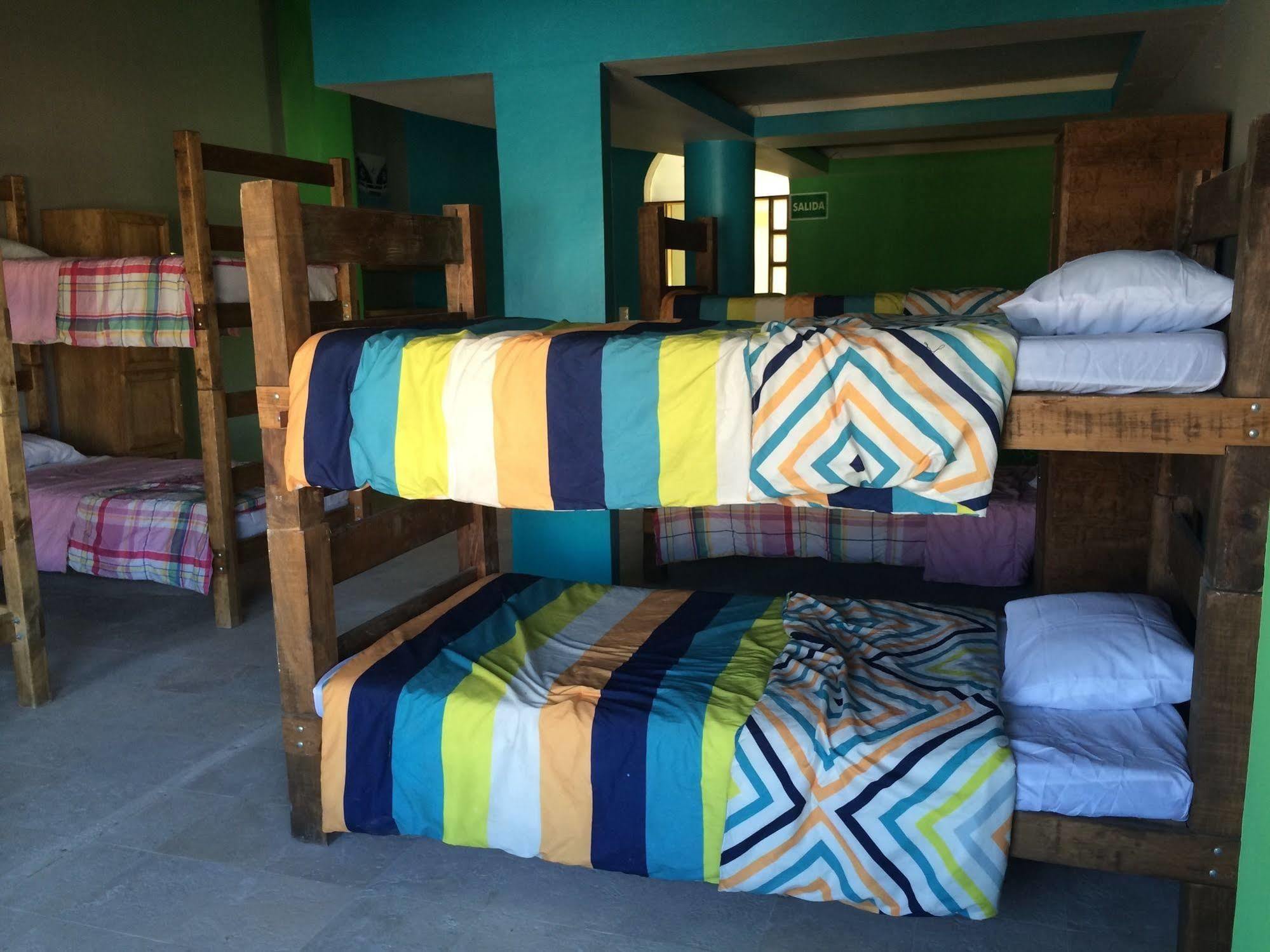Bajas Cactus Hostel Cabo San Lucas Esterno foto