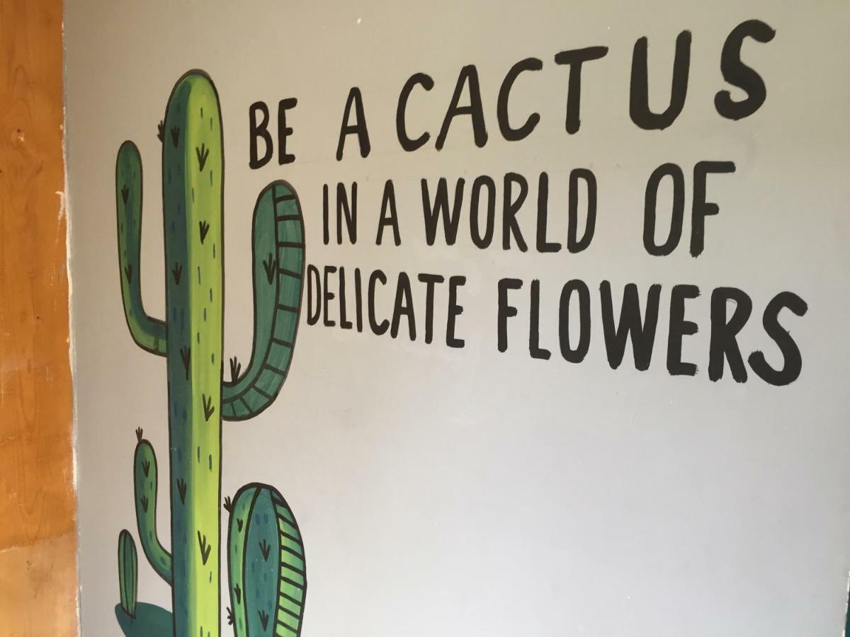 Bajas Cactus Hostel Cabo San Lucas Esterno foto